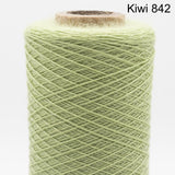 Kiwi 842