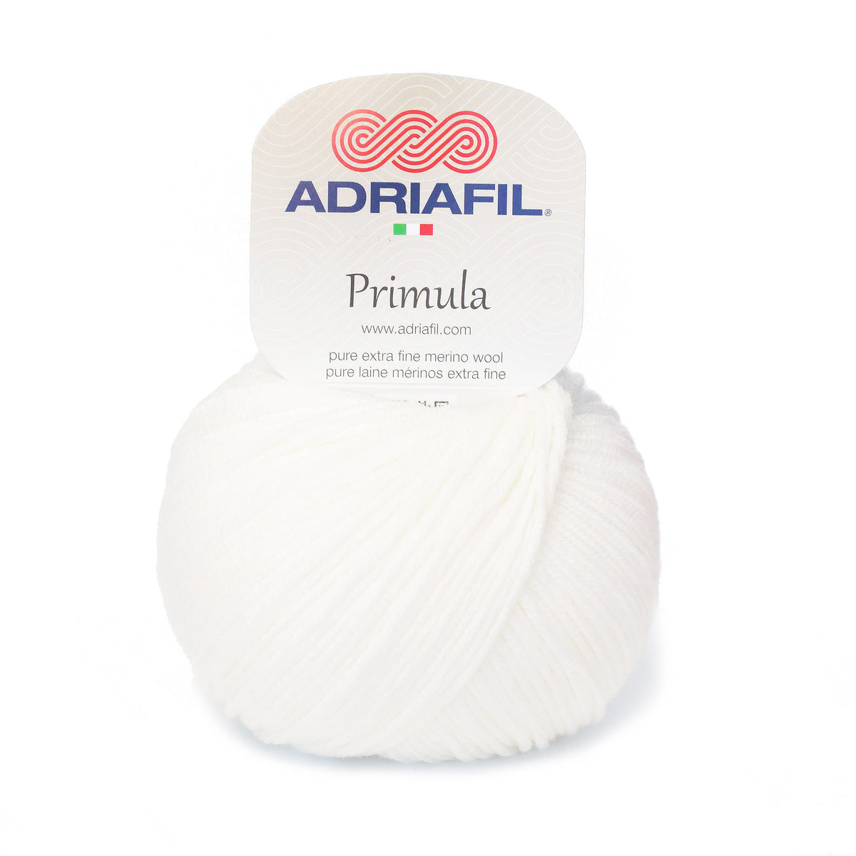 Primula