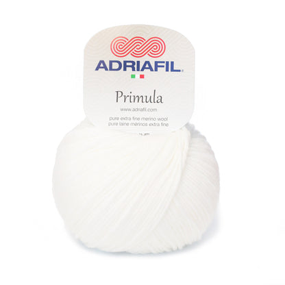 Primula