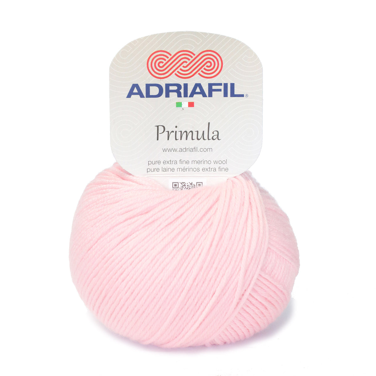 Primula