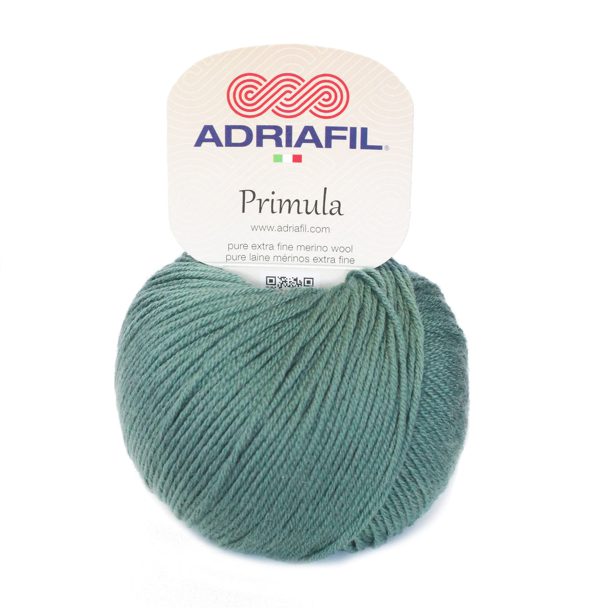 Primula