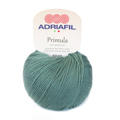 Primula