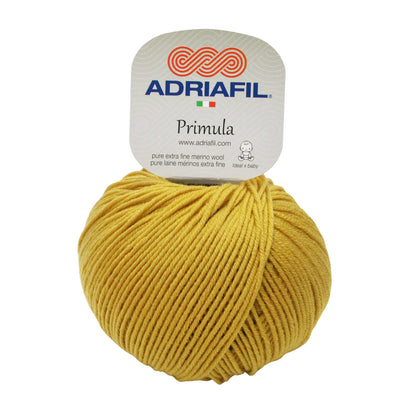 Primula