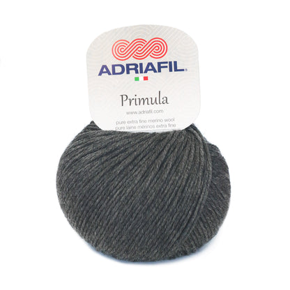 Primula