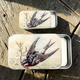 Spring Swallow