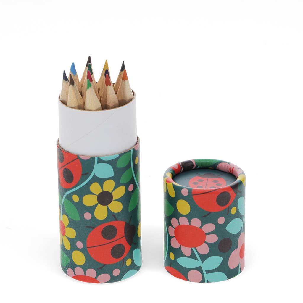 Tube of colouring pencils - Ladybird