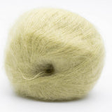 Maize 06011