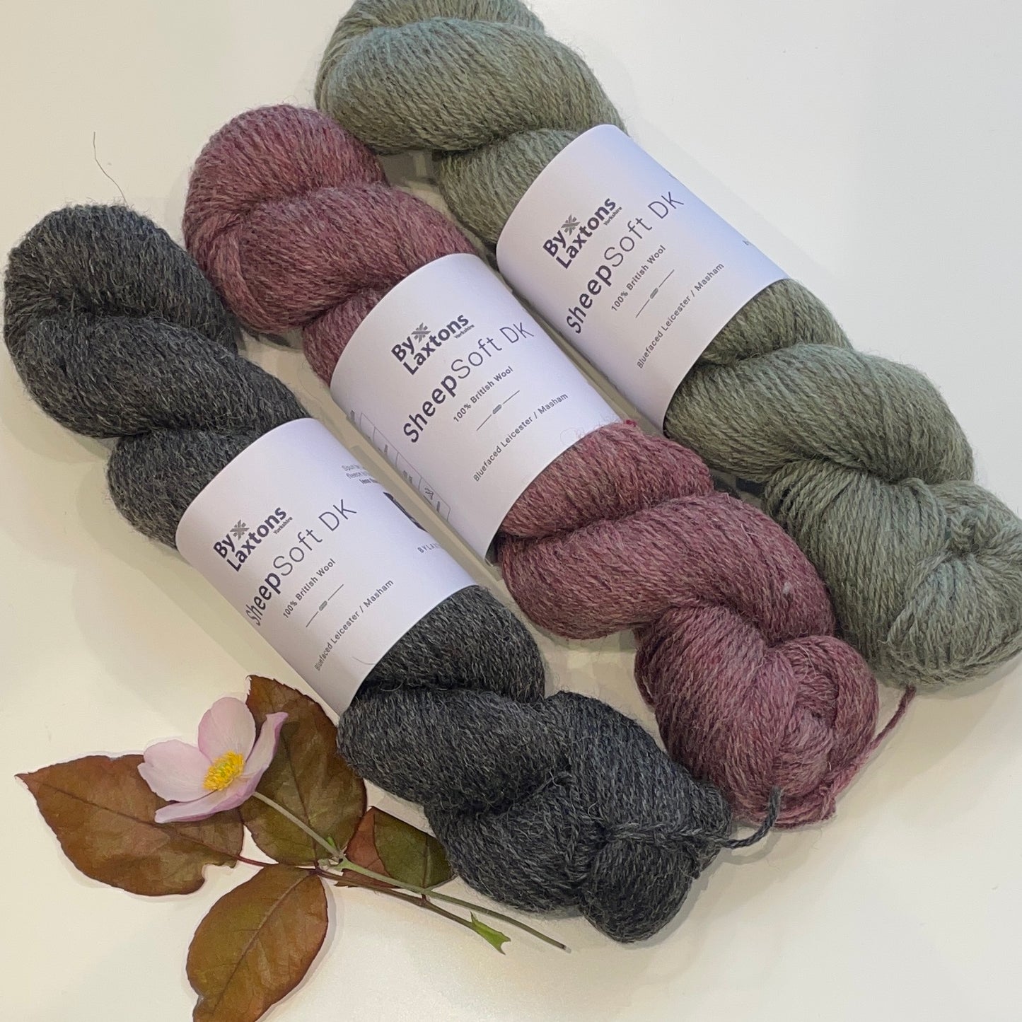 SheepSoft DK by Laxtons